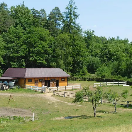 For Two Only 20 M From Boruja In Rekowo