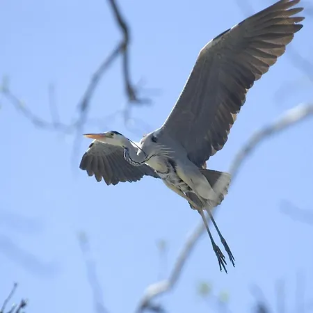 For Two Only 20 M From Boruja In Rekowo *