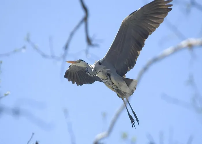 For Two Only 20 M From Boruja In Rekowo *