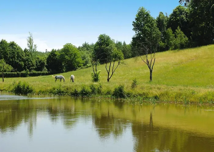 For Two Only 20 M From Boruja In Rekowo *