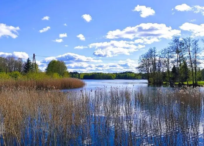 For Two Only 20 M From Boruja In Rekowo 아파트 Rekowo (Bytow)