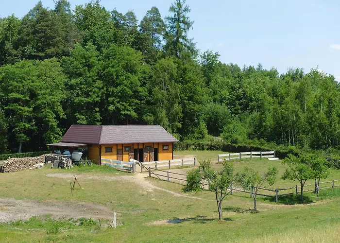 아파트 For Two Only 20 M From Boruja In Rekowo