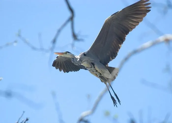 아파트 For Two Only 20 M From Boruja In Rekowo Rekowo (Bytow)