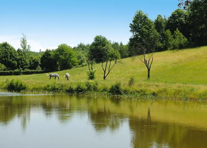 For Two Only 20 M From Boruja In Rekowo 아파트